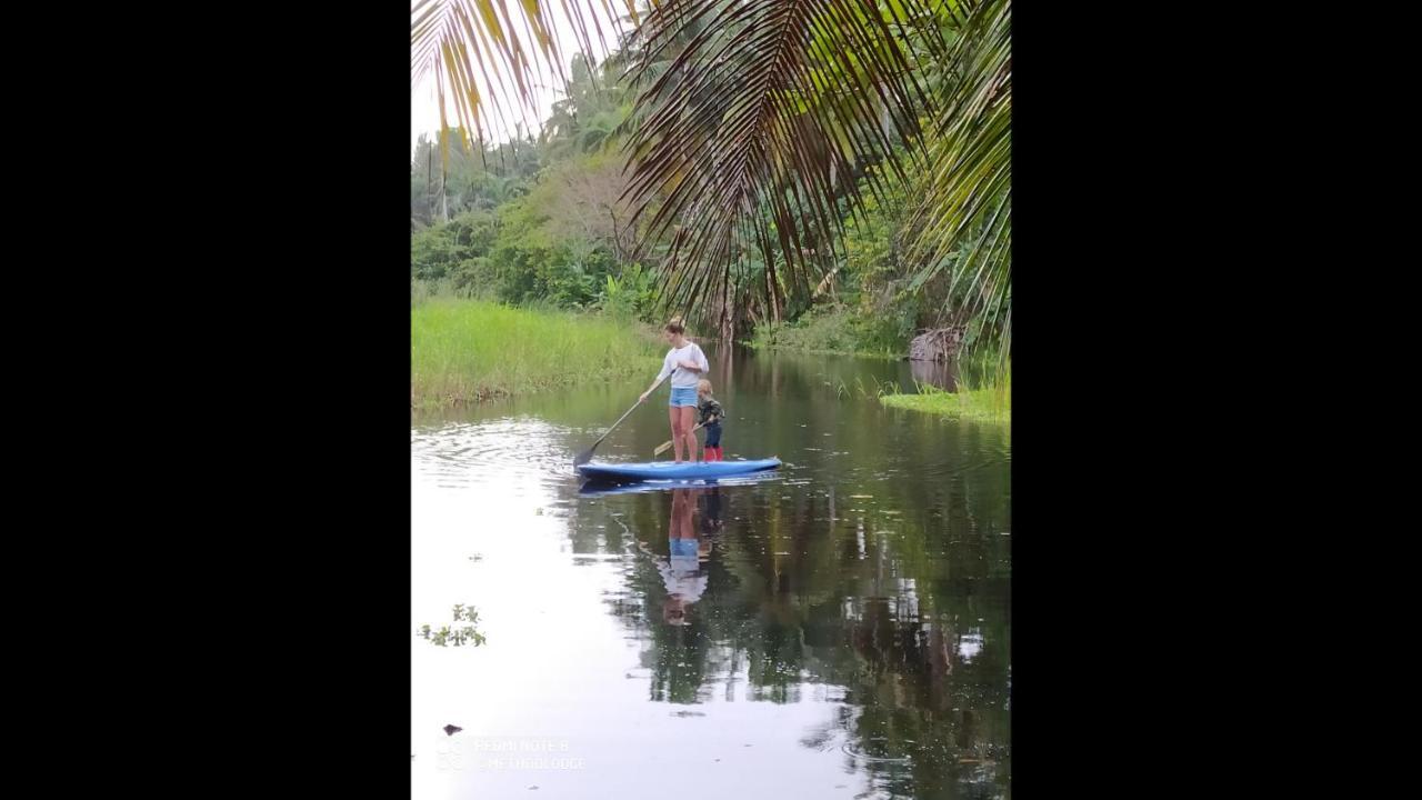 Room In Lodge - Method Living Tropical Edition Cabarete Luaran gambar
